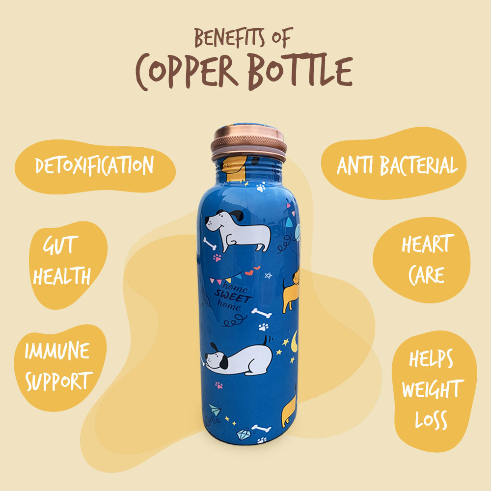 1L + 750ml Cute Dog Pattern Meenakari Copper Bottle Combo