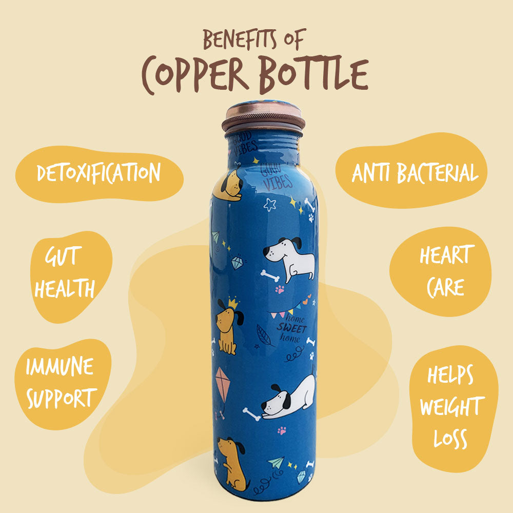 1L + 750ml Cute Dog Pattern Meenakari Copper Bottle Combo