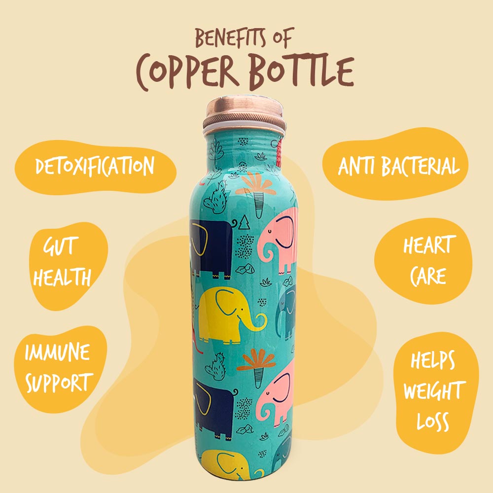 1L + 750ml Cool Elephant Pattern Meenakari Copper Bottle Combo