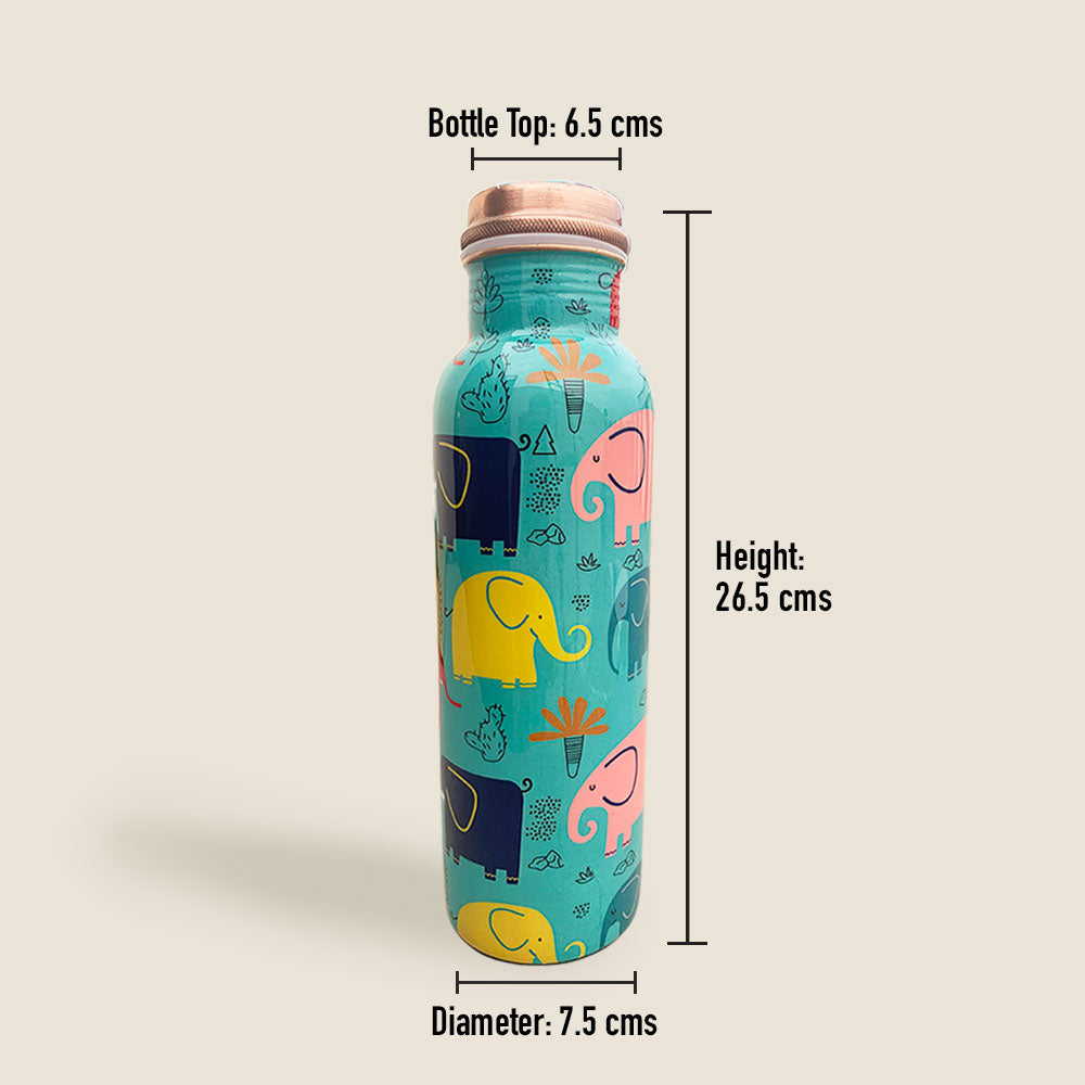 1L + 750ml Cool Elephant Pattern Meenakari Copper Bottle Combo
