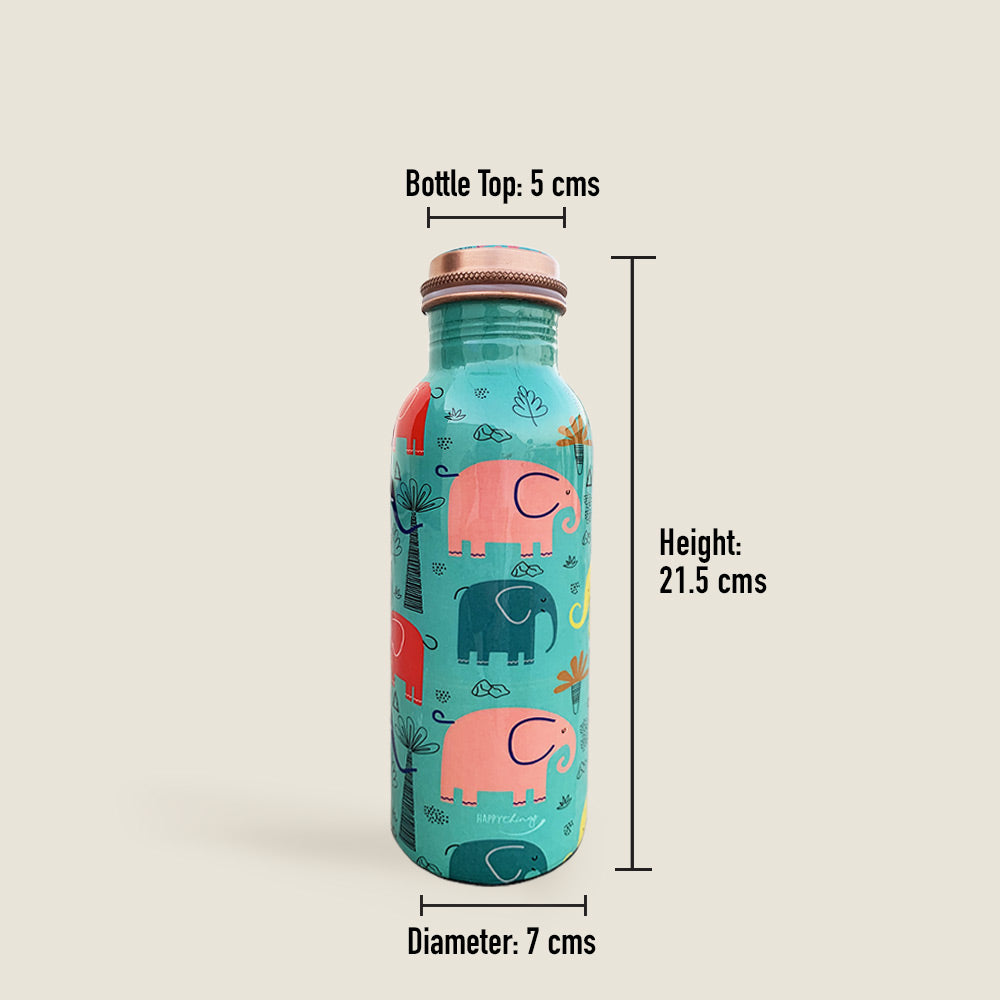 1L + 750ml Cool Elephant Pattern Meenakari Copper Bottle Combo