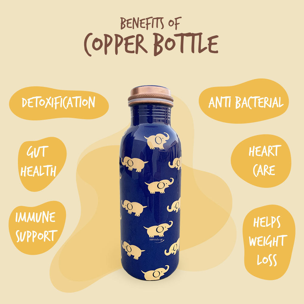 Elephant Pattern Meenakari Copper Bottle