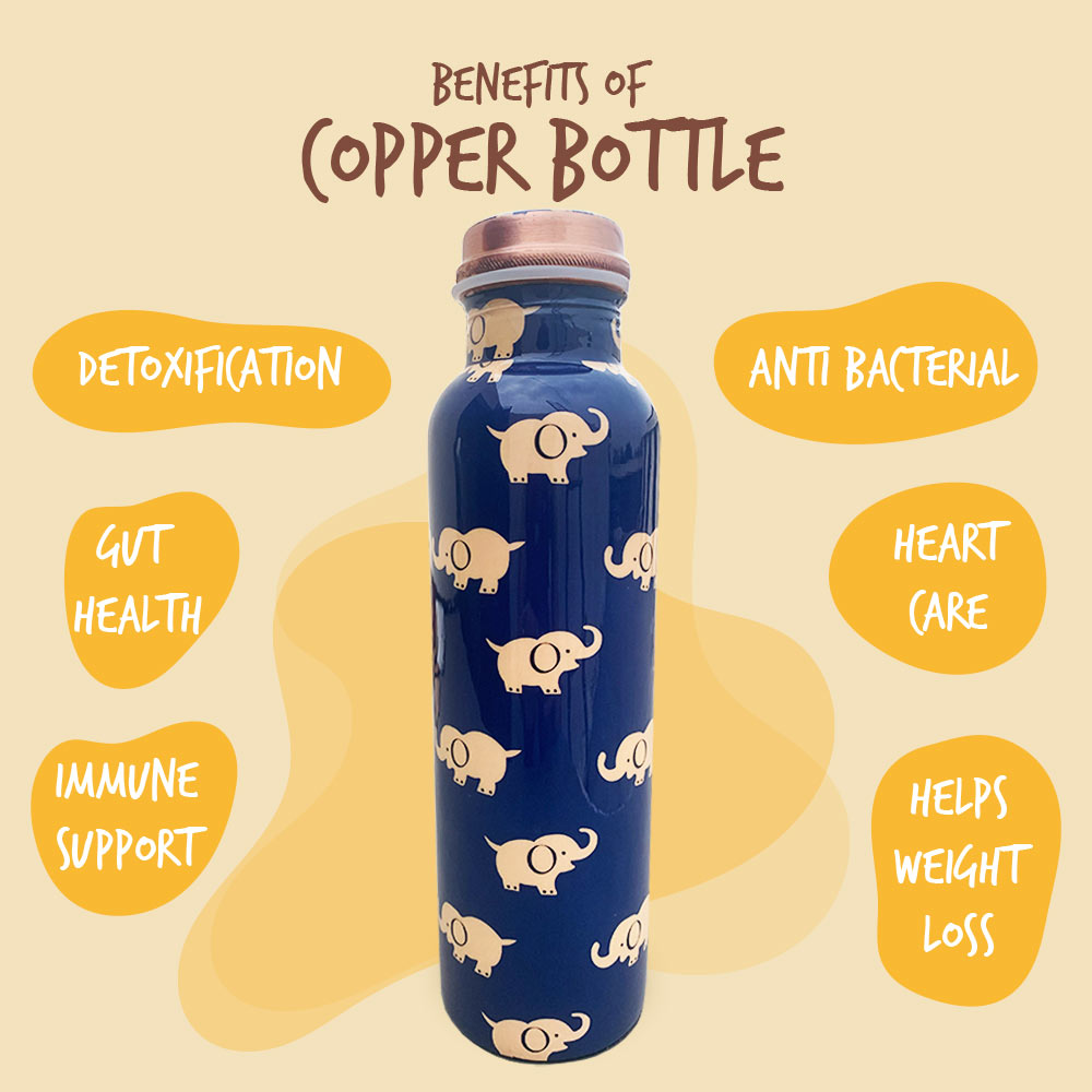 Blue Char Bagh Gift Box with Elephant Pattern Copper Bottle & Meena Glass