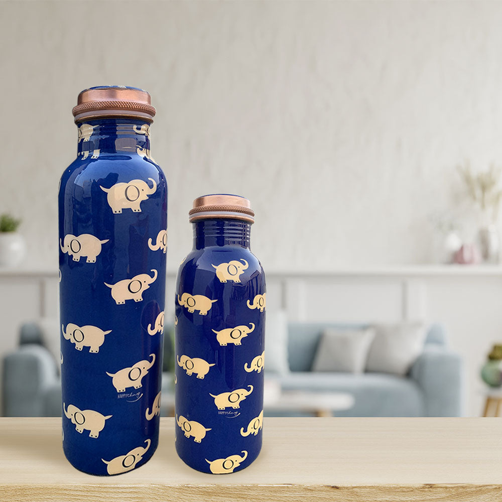 1L + 750ml Elephant Pattern Meenakari Copper Bottle Combo
