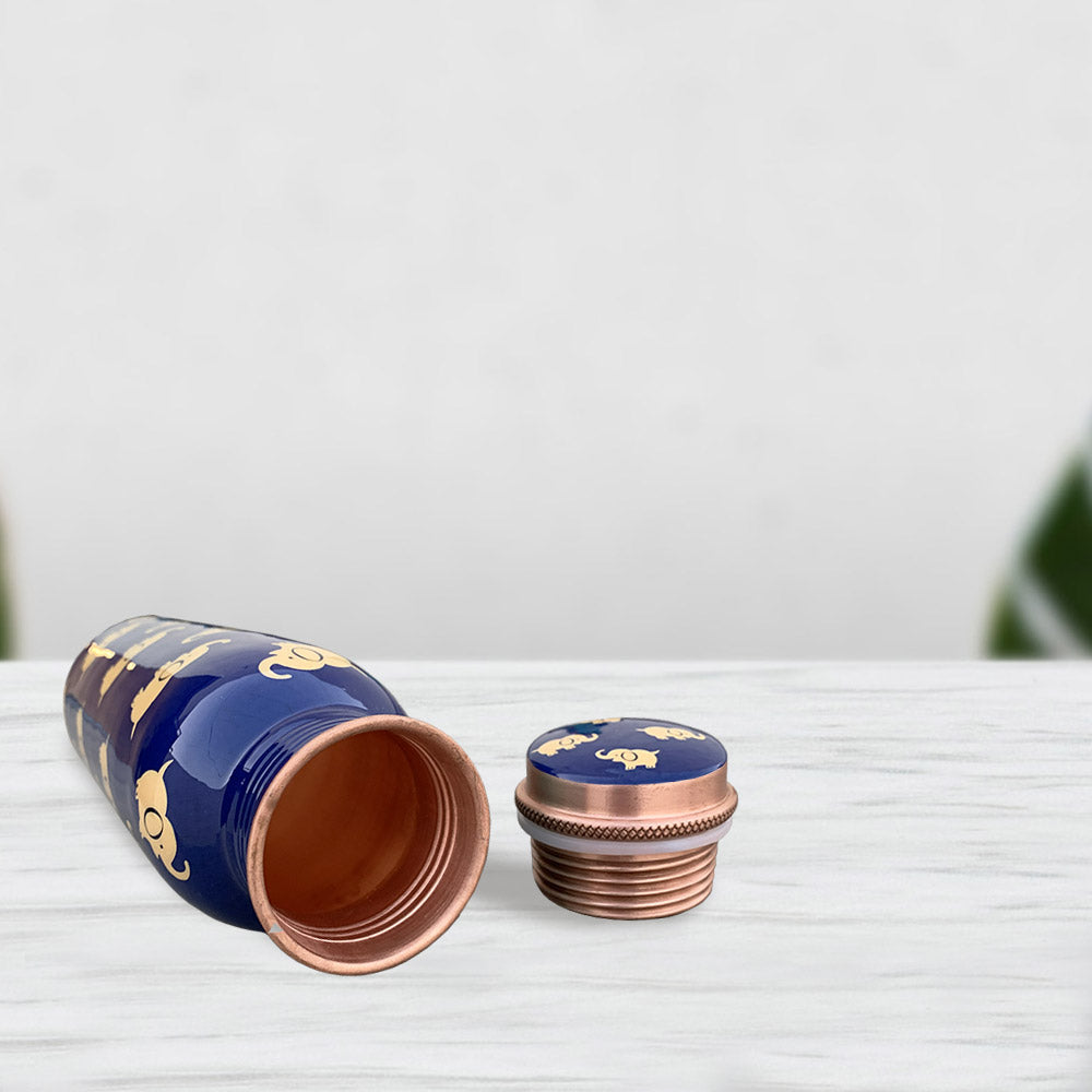Elephant Pattern Meenakari Copper Bottle