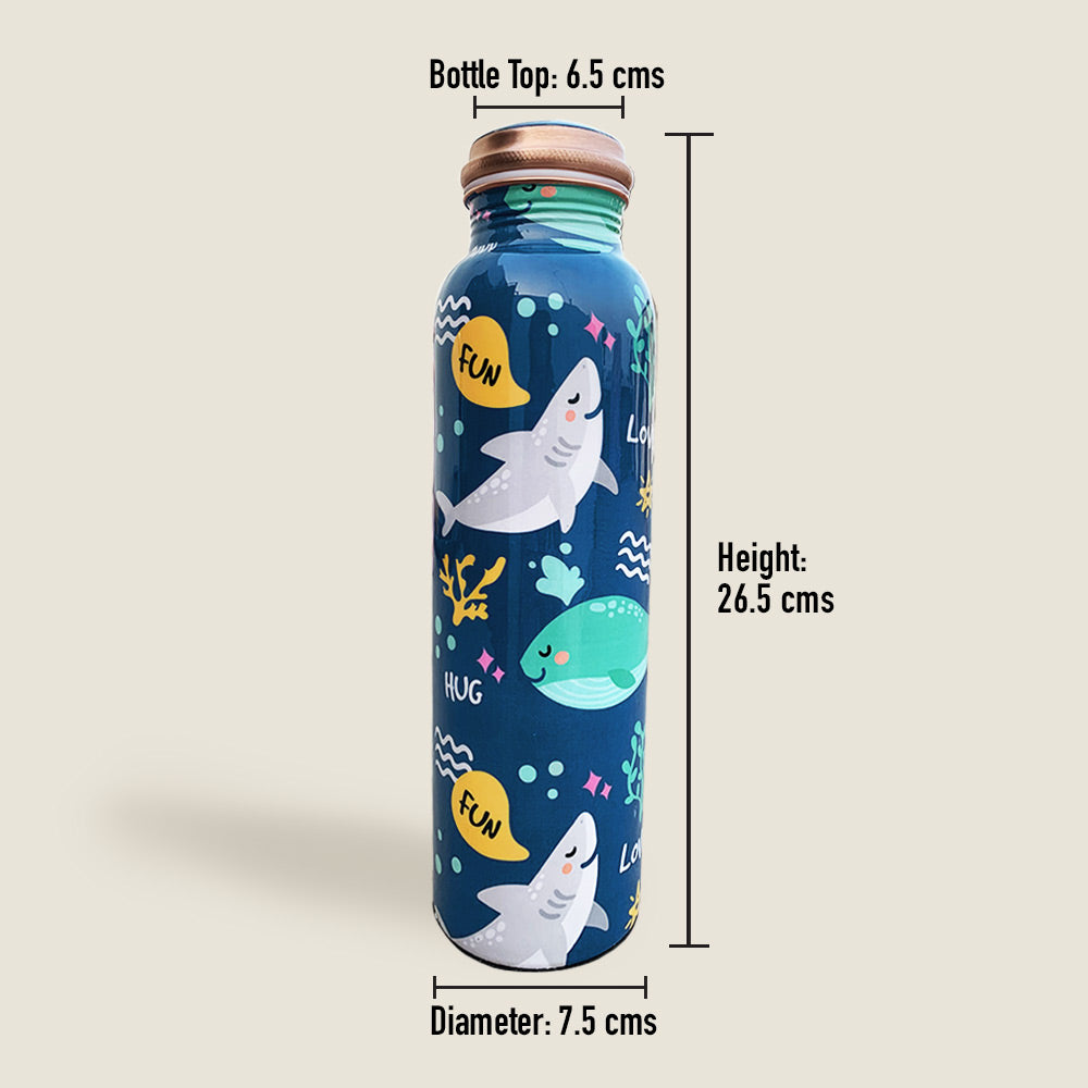 Super Cute Fish Pattern Meenakari Copper Bottle