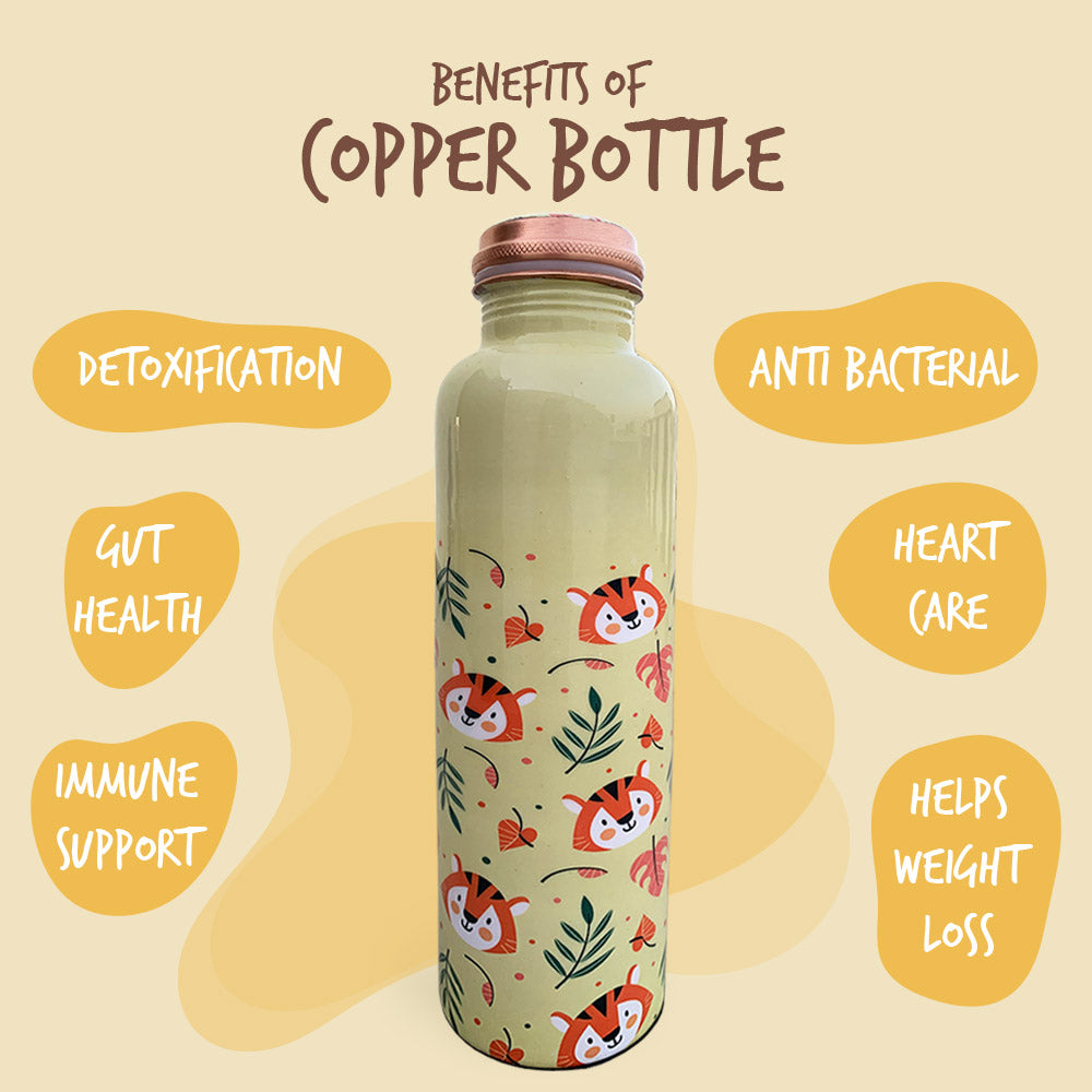 Super Cute Lion Pattern Meenakari Copper Bottle