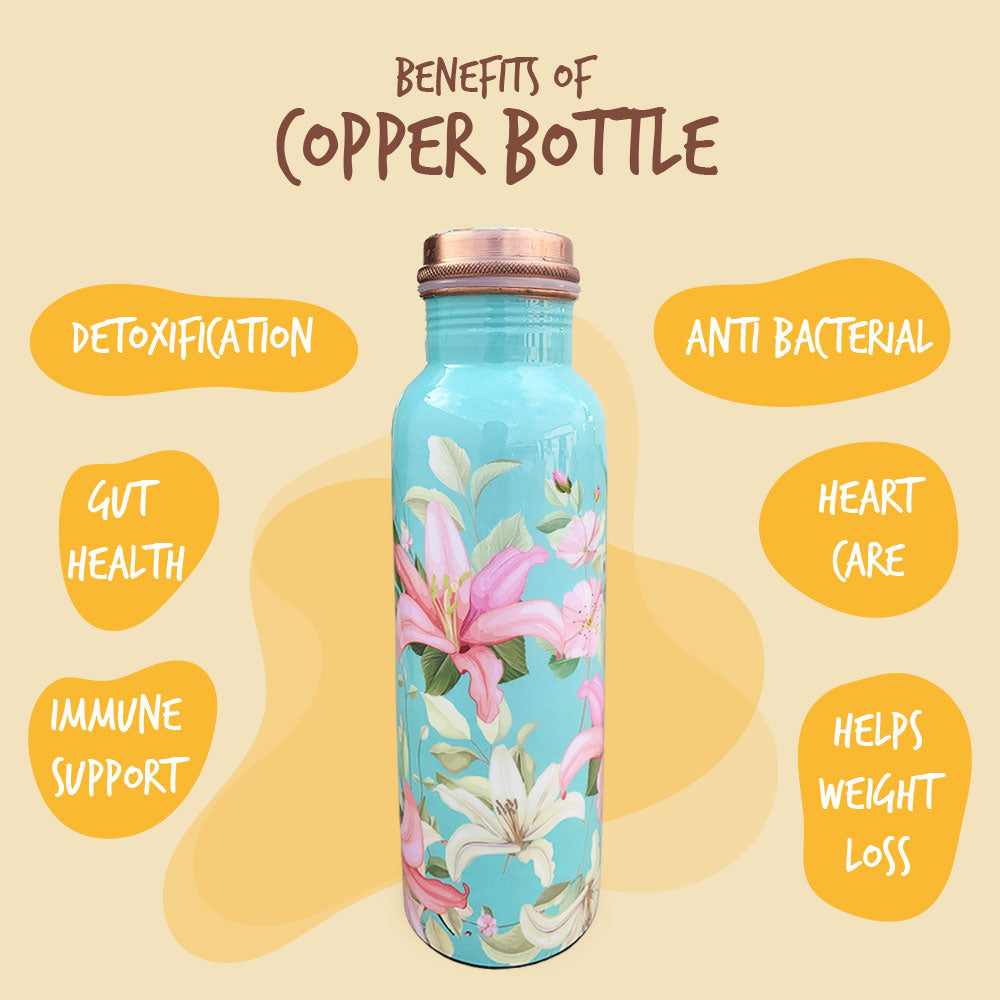 1L+750ml Vintage Blue Floral Meenakari Copper Bottle Combo
