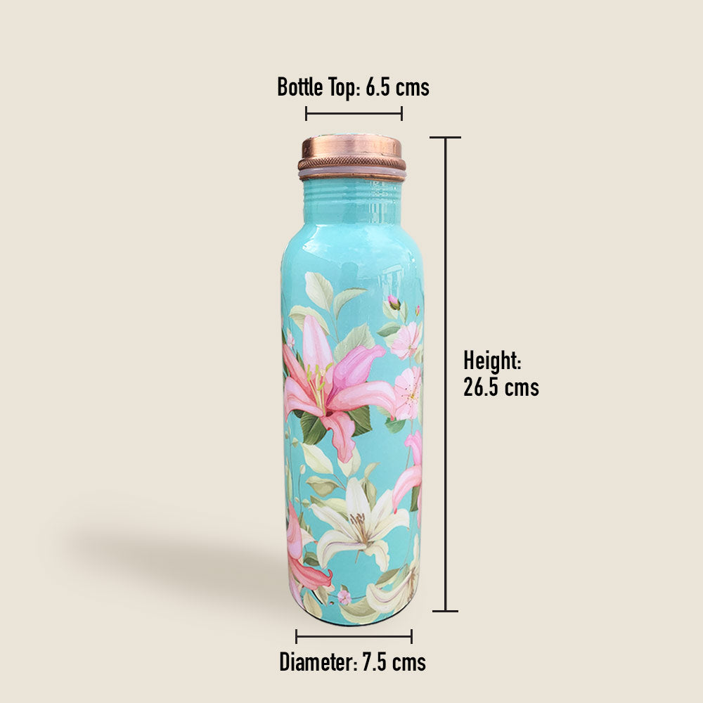1L+750ml Vintage Blue Floral Meenakari Copper Bottle Combo