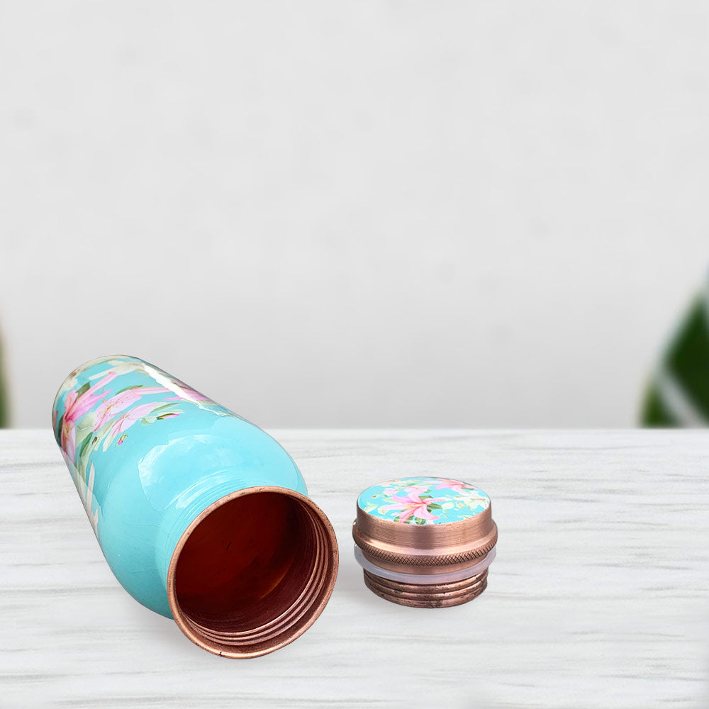 1L+750ml Vintage Blue Floral Meenakari Copper Bottle Combo
