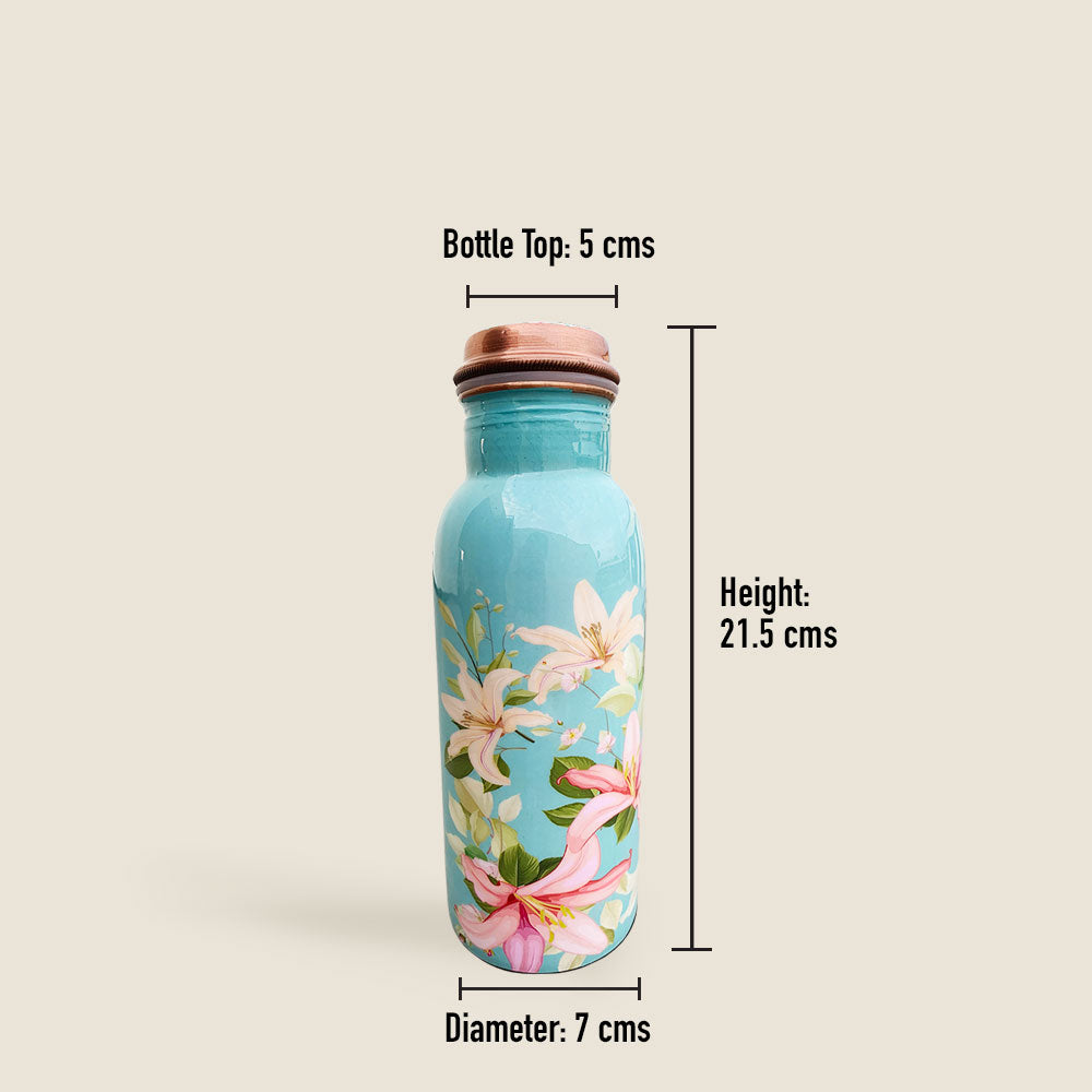 1L+750ml Vintage Blue Floral Meenakari Copper Bottle Combo