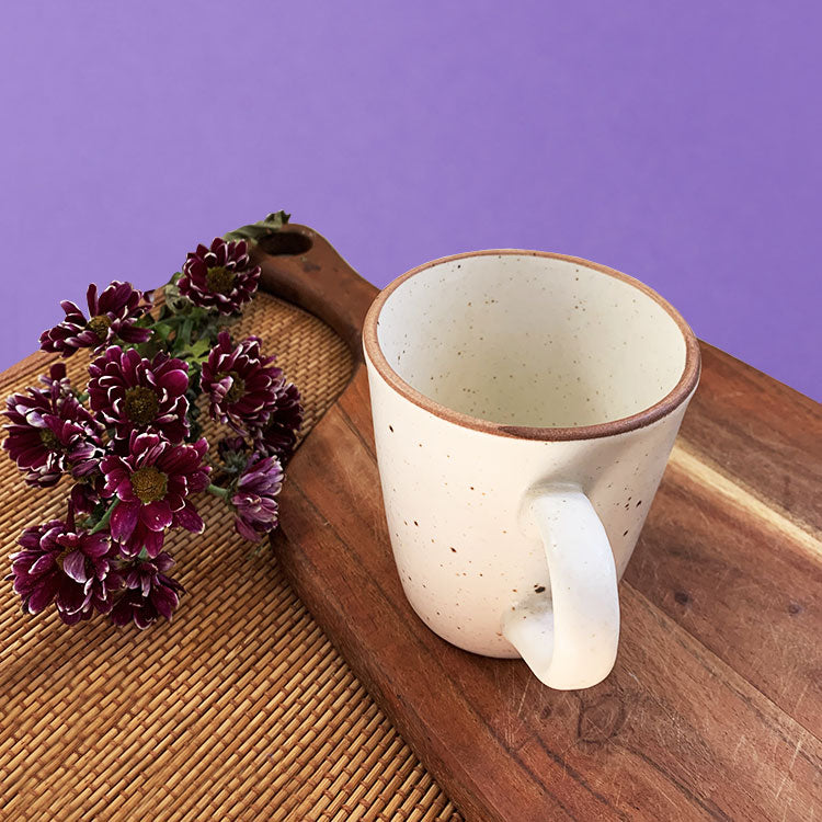 Speckled Off White Solid Ceramic Mug Set