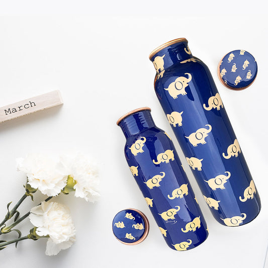 1L + 750ml Elephant Pattern Meenakari Copper Bottle Combo