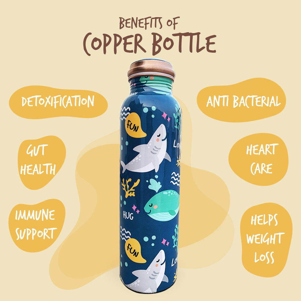Super Cute Fish Pattern Meenakari Copper Bottle