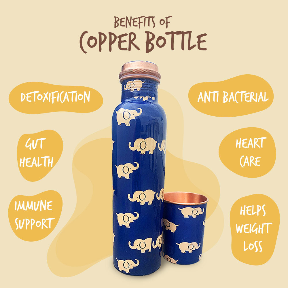 Green Gift Box with Elephant Pattern Copper Bottle & Meena Glass