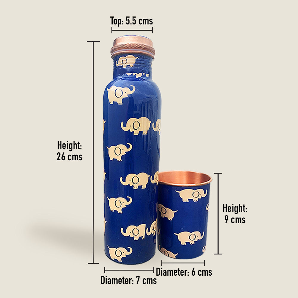 Green Gift Box with Elephant Pattern Copper Bottle & Meena Glass